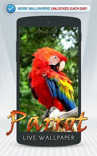 Parrot Live Wallpaper - عکس برنامه موبایلی اندروید