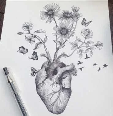 Pencil Sketch Drawing Ideas - عکس برنامه موبایلی اندروید