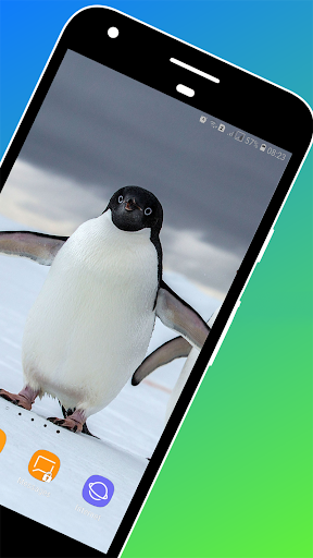 Penguin Wallpaper - Image screenshot of android app