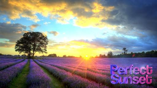 Perfect Sunset Live Wallpaper - عکس برنامه موبایلی اندروید