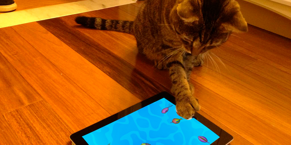 Animal games: Peppy Cat::Appstore for Android