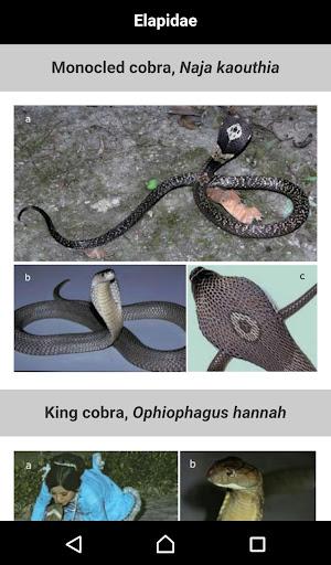 Poison Rx - عکس برنامه موبایلی اندروید