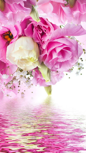 Pink Dynamic Wallpapers  Top Free Pink Dynamic Backgrounds   WallpaperAccess