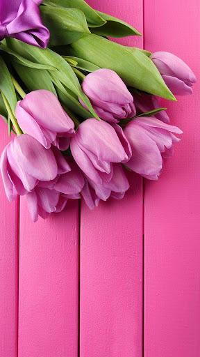Pink Tulips Live Wallpaper - Image screenshot of android app