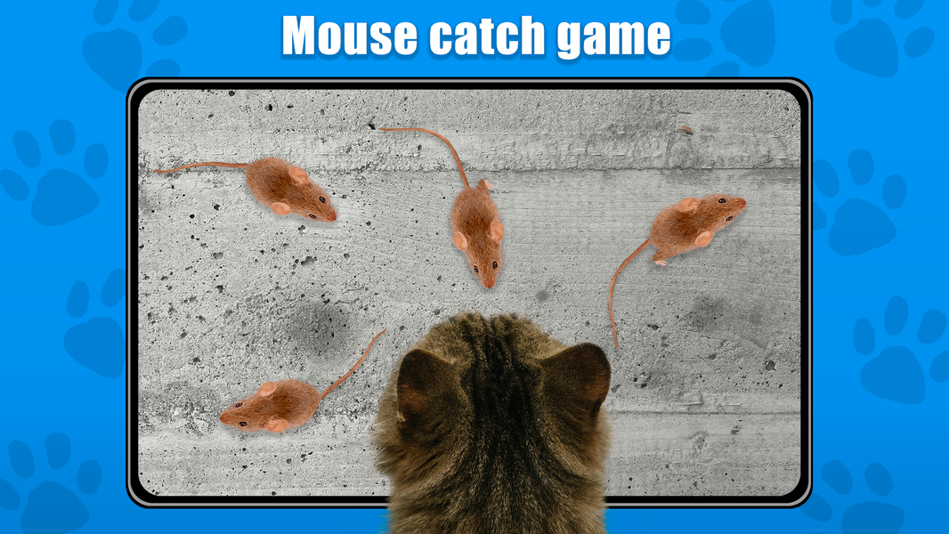 Cat Toy - Games for Cats - عکس بازی موبایلی اندروید