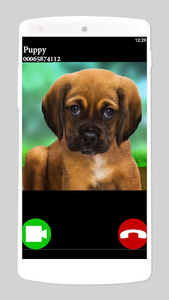 fake call video puppy game - عکس بازی موبایلی اندروید