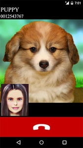 fake call video puppy game - عکس بازی موبایلی اندروید
