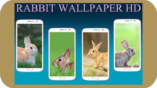 Rabbit Wallpaper HD - عکس برنامه موبایلی اندروید