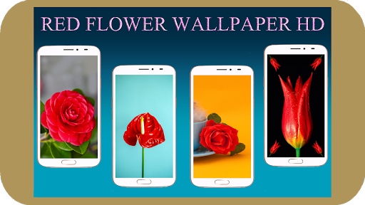 Red Flower Wallpaper - Image screenshot of android app
