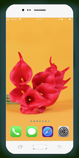 Red Flower Wallpaper - Image screenshot of android app