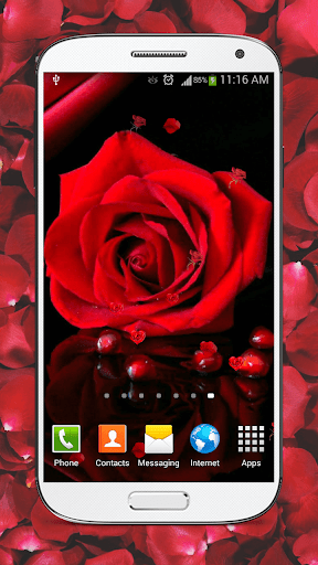 Red Roses Live Wallpaper HD - Image screenshot of android app