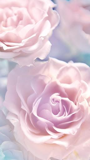 Rose Live Wallpaper - عکس برنامه موبایلی اندروید