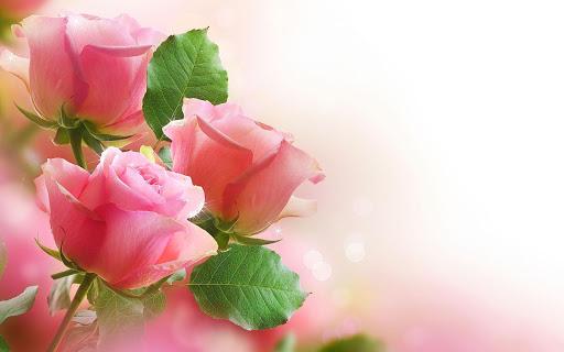 Roses Live Wallpaper - Image screenshot of android app