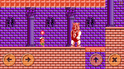 Island Adventures - عکس بازی موبایلی اندروید