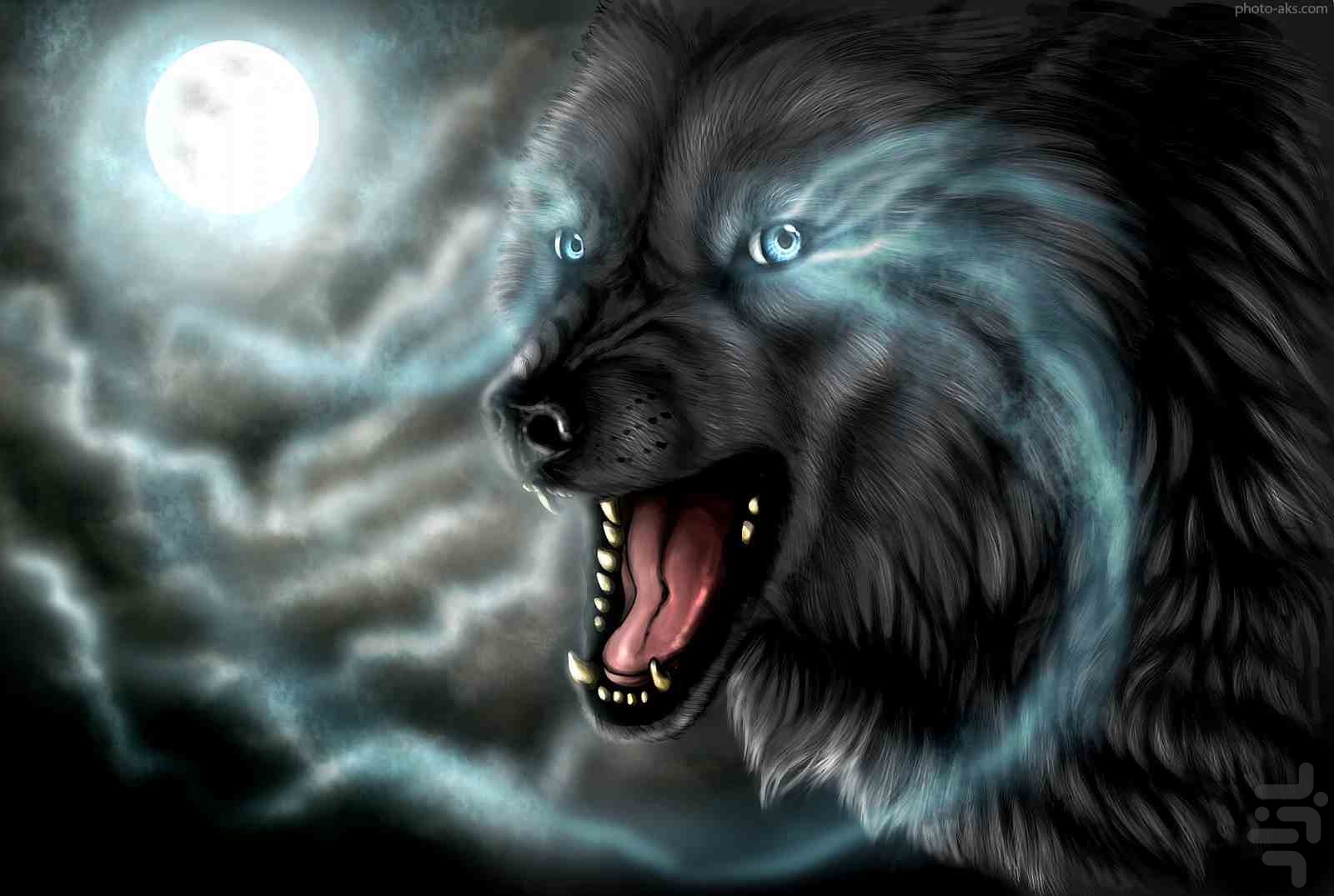 Black Wolf Wallpapers - Wallpaper Cave