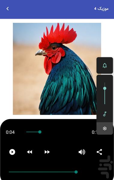 Rooster Sounds - Rooster Sound Effec - Image screenshot of android app