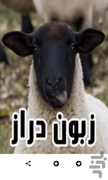 استیکرهای بامزه حیوانات - استیکر - عکس برنامه موبایلی اندروید