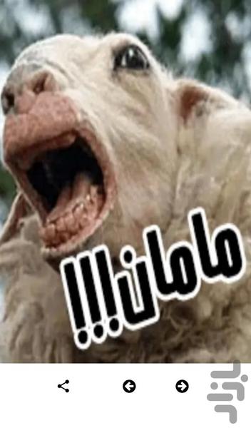 استیکرهای بامزه حیوانات - استیکر - عکس برنامه موبایلی اندروید