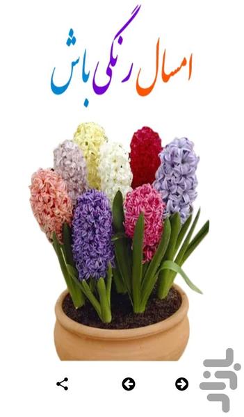 استیکر عید نوروز - استیکرهای نوروز - عکس برنامه موبایلی اندروید