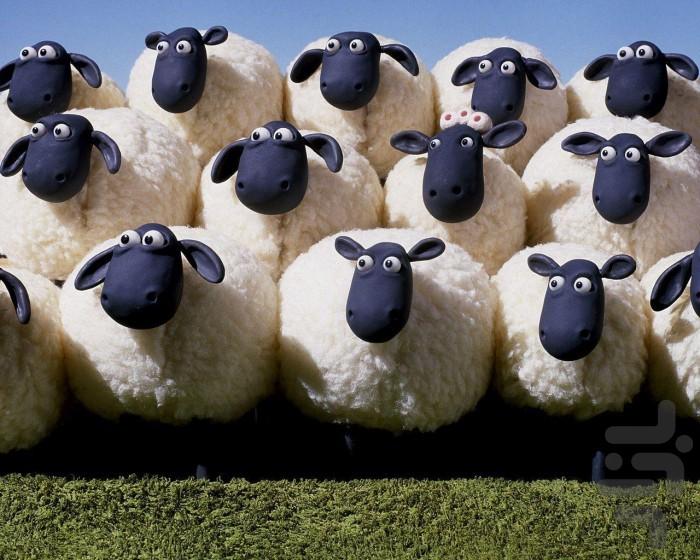 Shaun Sheep Animation - Image screenshot of android app