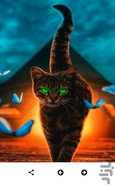 Animal art pictures, special wallpap - Image screenshot of android app