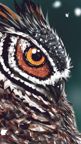Bird wallpapers - pictures of birds - Image screenshot of android app