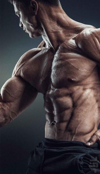 والپیپر بدنسازی - پروفایل باشگاه - عکس برنامه موبایلی اندروید