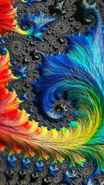 Attractive colored wallpapers - Image screenshot of android app