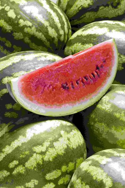 تصاویر میوه - والپیپر رنگارنگ میوه - عکس برنامه موبایلی اندروید