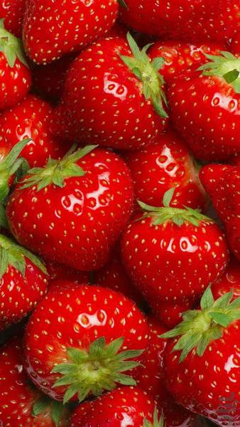Fruit Pictures - Colorful Fruit Wall - Image screenshot of android app