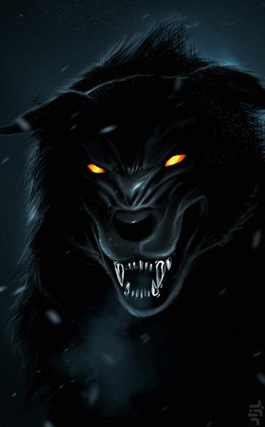 Wolf Pictures - Wolf Wallpaper - Image screenshot of android app