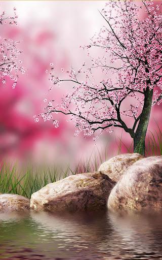 Sakura Live Wallpaper - عکس برنامه موبایلی اندروید