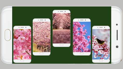 Sakura Wallpaper HD - Image screenshot of android app