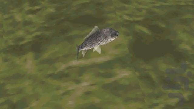 ماهیگیری ۲ - عکس بازی موبایلی اندروید