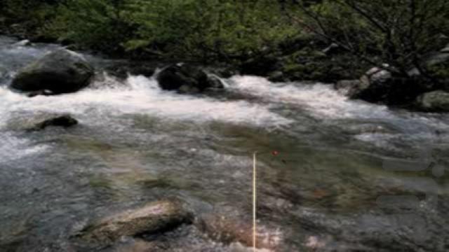 ماهیگیری - عکس بازی موبایلی اندروید