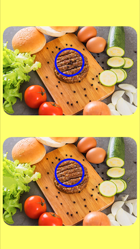 Spot The Differences Game - عکس بازی موبایلی اندروید
