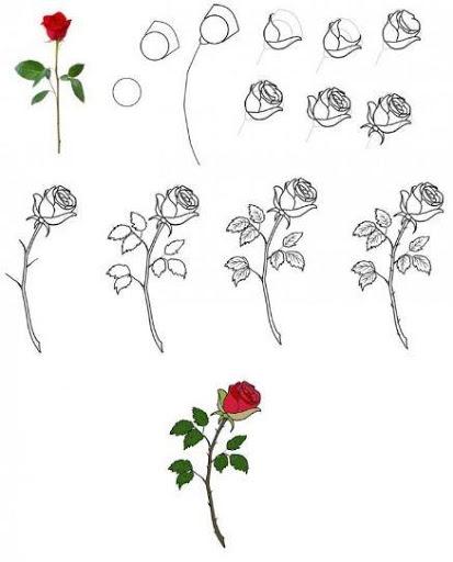 Sketch Pencil Tutorial - Image screenshot of android app