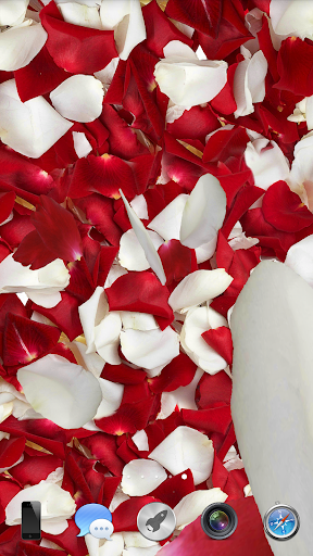 Petals 3D live wallpaper - Image screenshot of android app