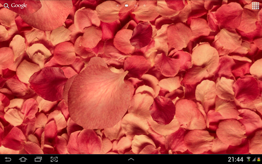 Petals 3D live wallpaper - Image screenshot of android app