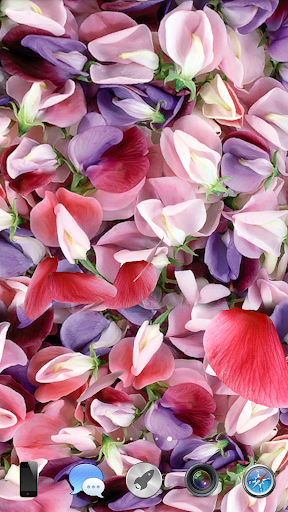 Petals 3D live wallpaper - Image screenshot of android app