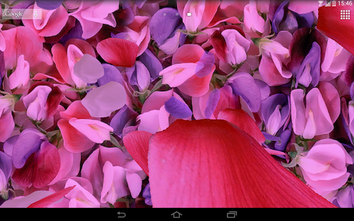 Petals 3D live wallpaper - Image screenshot of android app