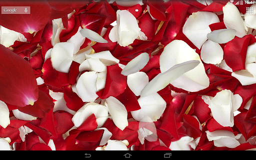 Petals 3D live wallpaper - Image screenshot of android app