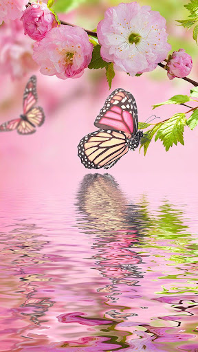 Spring flowers and butterflies in bubble 2K wallpaper download