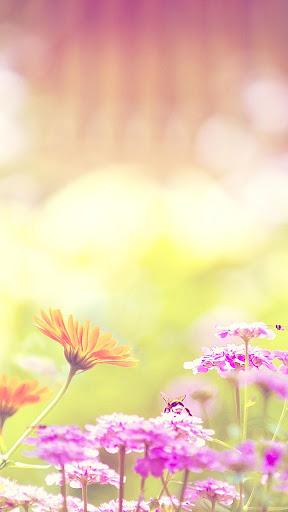 Spring Live Wallpaper - عکس برنامه موبایلی اندروید