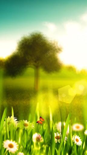 Spring Live Wallpaper - Image screenshot of android app