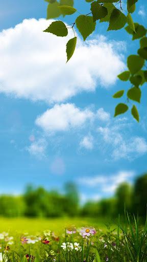 Spring Live Wallpaper - Image screenshot of android app