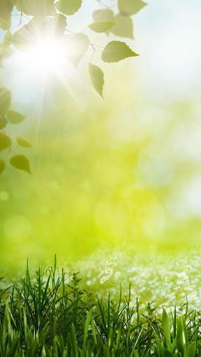 Spring Live Wallpaper - Image screenshot of android app