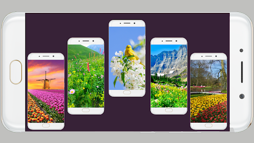 Spring Wallpaper HD - Image screenshot of android app