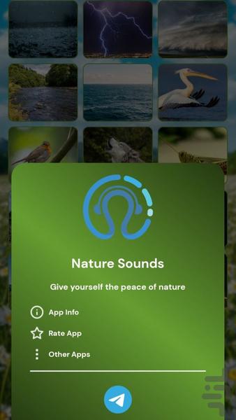 Nature sound - Image screenshot of android app