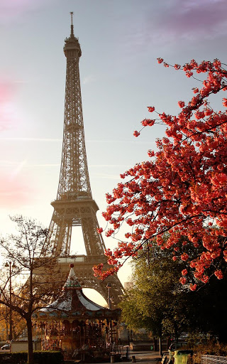 paris live wallpaper for android